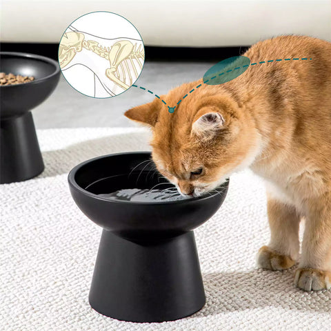Elevated Cat Bowl Set With Stoneware Shallow Water Bowl And Deep Food Bowl - Designed For Comfortable And Mess-Free Feeding - Black