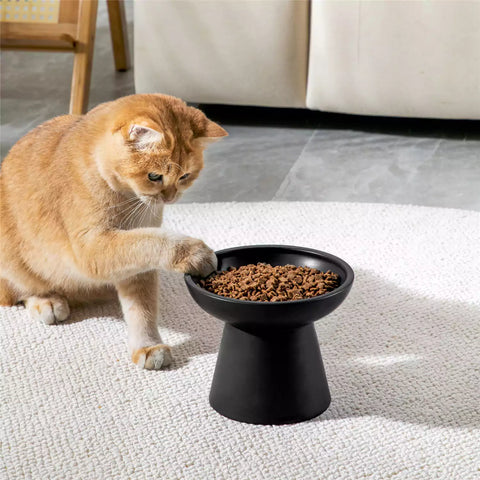 Elevated Cat Bowl Set With Stoneware Shallow Water Bowl And Deep Food Bowl - Designed For Comfortable And Mess-Free Feeding - Black