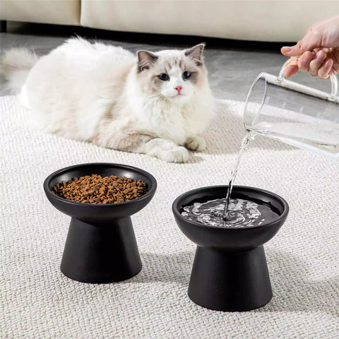 Elevated Cat Bowl Set With Stoneware Shallow Water Bowl And Deep Food Bowl - Designed For Comfortable And Mess-Free Feeding - Black