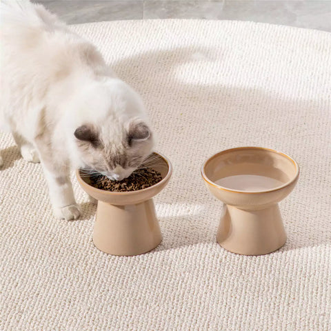 Elevated Cat Bowl Set With Stoneware Shallow Water Bowl And Deep Food Bowl - Designed For Comfortable And Mess-Free Feeding - Brown