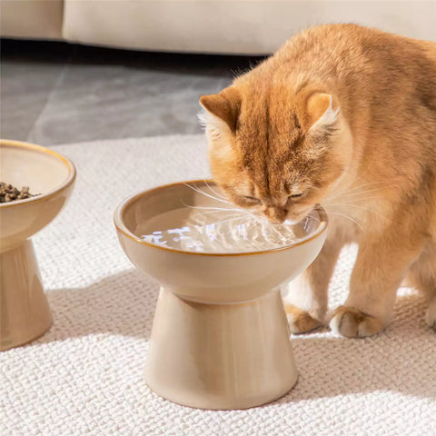 Elevated Cat Bowl Set With Stoneware Shallow Water Bowl And Deep Food Bowl - Designed For Comfortable And Mess-Free Feeding - Brown
