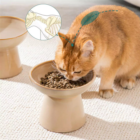 Elevated Cat Bowl Set With Stoneware Shallow Water Bowl And Deep Food Bowl - Designed For Comfortable And Mess-Free Feeding - Brown
