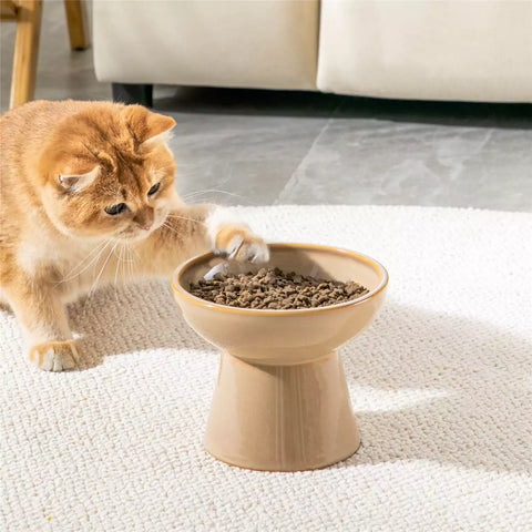 Elevated Cat Bowl Set With Stoneware Shallow Water Bowl And Deep Food Bowl - Designed For Comfortable And Mess-Free Feeding - Brown