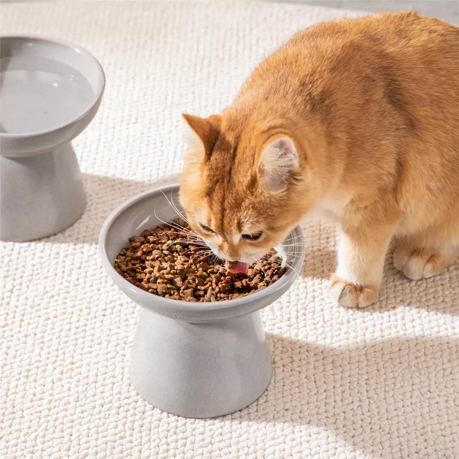 Elevated Cat Bowl Set With Stoneware Shallow Water Bowl And Deep Food Bowl - Designed For Comfortable And Mess-Free Feeding - Grey