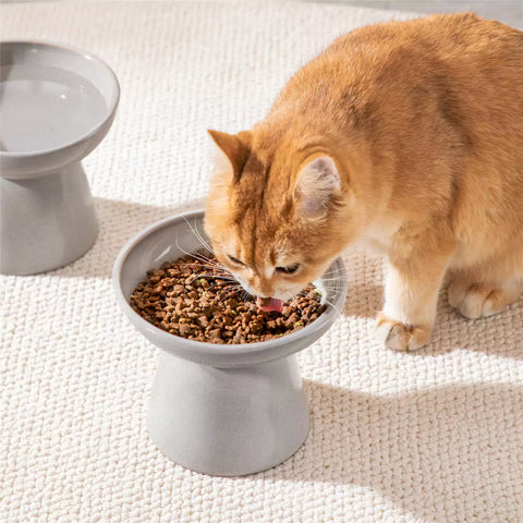 Elevated Cat Bowl Set With Stoneware Shallow Water Bowl And Deep Food Bowl - Designed For Comfortable And Mess-Free Feeding - Grey