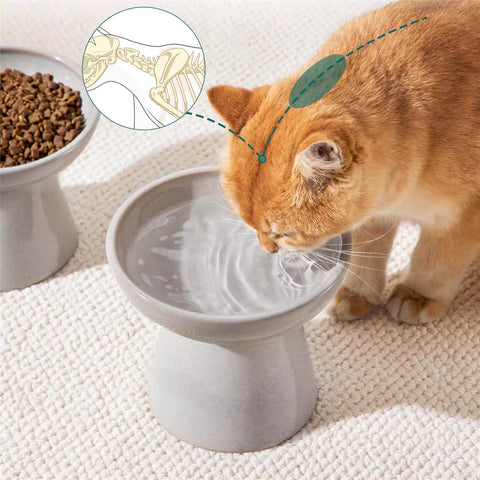Elevated Cat Bowl Set With Stoneware Shallow Water Bowl And Deep Food Bowl - Designed For Comfortable And Mess-Free Feeding - Grey