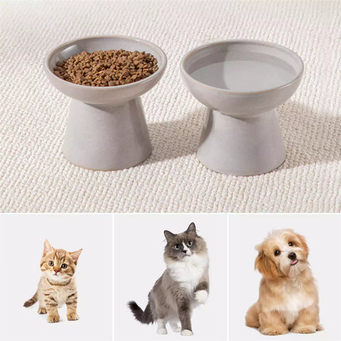 Elevated Cat Bowl Set With Stoneware Shallow Water Bowl And Deep Food Bowl - Designed For Comfortable And Mess-Free Feeding - Grey