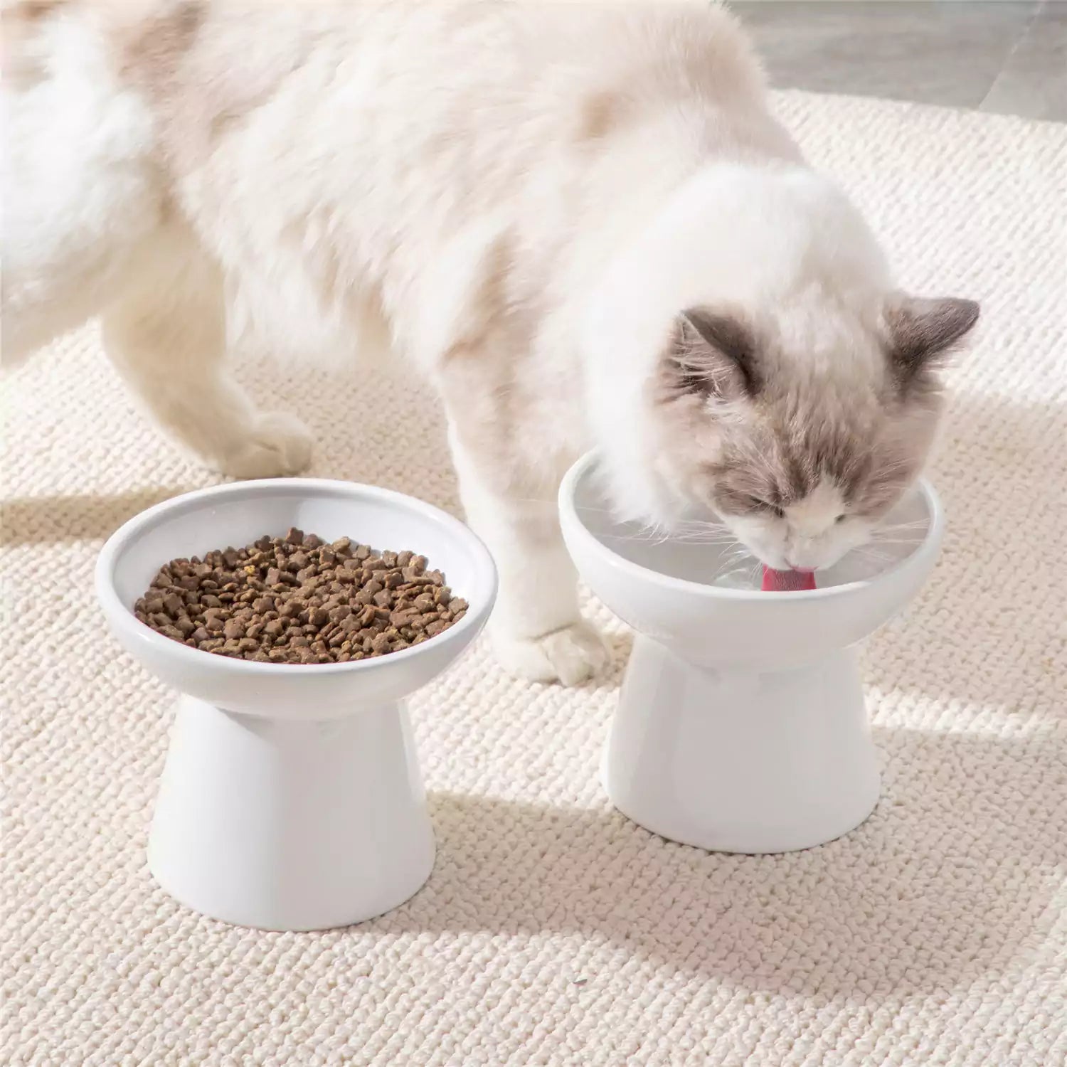 Elevated Cat Bowl Set With Stoneware Shallow Water Bowl And Deep Food Bowl - Designed For Comfortable And Mess-Free Feeding - White