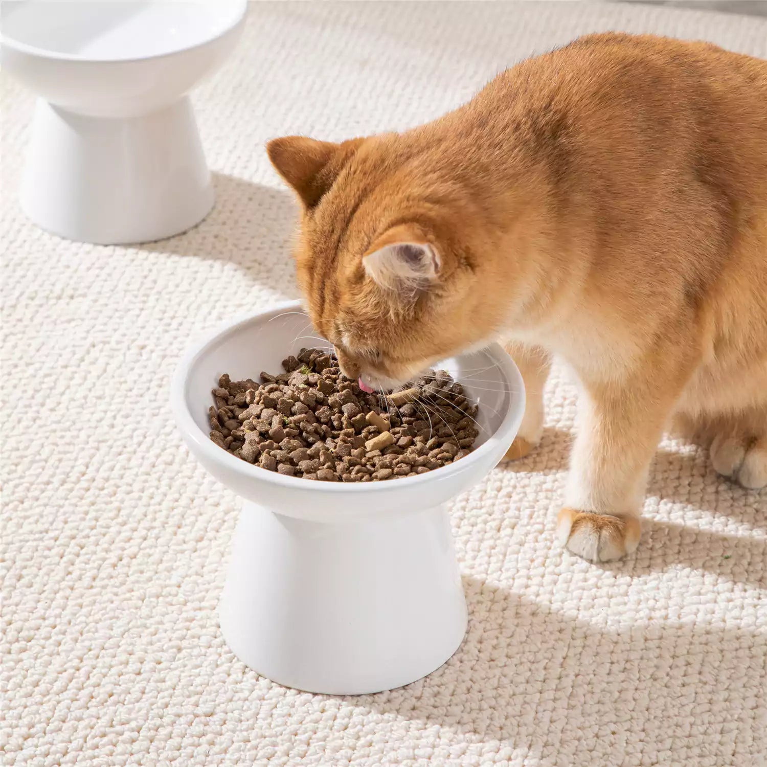 Elevated Cat Bowl Set With Stoneware Shallow Water Bowl And Deep Food Bowl - Designed For Comfortable And Mess-Free Feeding - White