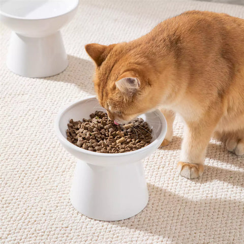 Elevated Cat Bowl Set With Stoneware Shallow Water Bowl And Deep Food Bowl - Designed For Comfortable And Mess-Free Feeding - White