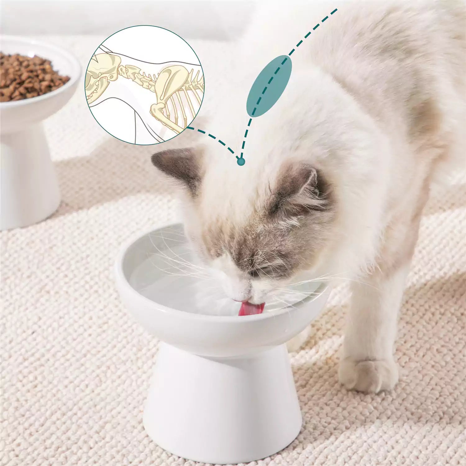 Elevated Cat Bowl Set With Stoneware Shallow Water Bowl And Deep Food Bowl - Designed For Comfortable And Mess-Free Feeding - White