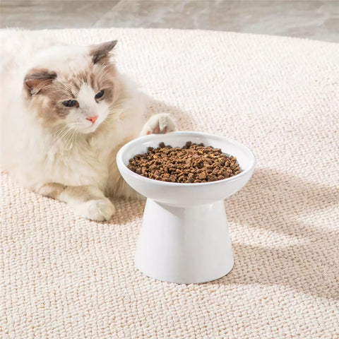 Elevated Cat Bowl Set With Stoneware Shallow Water Bowl And Deep Food Bowl - Designed For Comfortable And Mess-Free Feeding - White