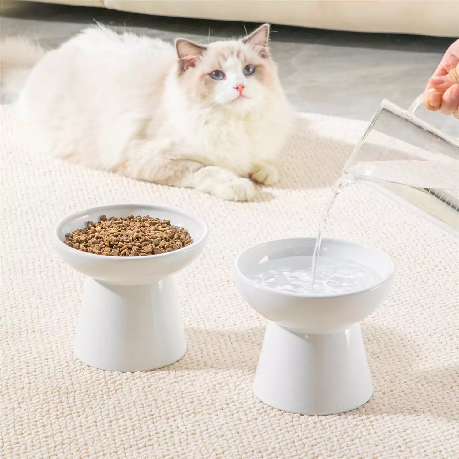 Elevated Cat Bowl Set With Stoneware Shallow Water Bowl And Deep Food Bowl - Designed For Comfortable And Mess-Free Feeding - White